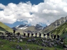 Passo del Tonale estate