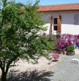 Casale Liguria campi estivi