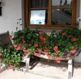 san leo