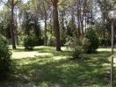 casaassisi-parco