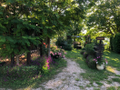 esterno-ginestra