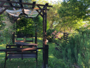 giardino-esterno-ginestra