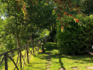 viale-giardino