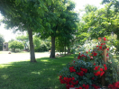 giardino2