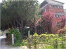 immagine14-2