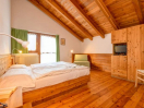 chalet-pinzolo-camera1