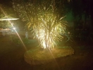 hotel-genova-giardino
