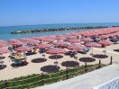 mare