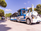 camping-village-viareggio-toscana-trenino