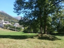 spazio verde