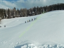 invernocamminate (Copia)