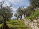 casa-noceraumbra-ampi-spazi-esterni