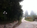 viale