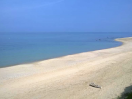 mare