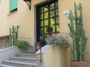 ingresso