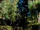 giardino1-cpfbordigera