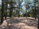 caseautogestita-alta-parco