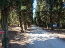caseautogestita-alta-viale