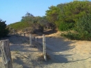 hotel-gargano-accessospiaggia718