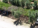 hotel-gargano-parcheggio718