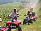 Quad