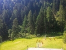 hotel-pejo-campetti