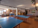 ping pong