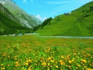 panoramaestate