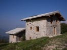 dordi