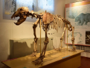 ostello-umbria-24-museo