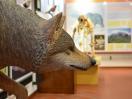 ostello-umbria-24-museo1