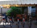 res-pietraligure-biloplus-biciclette