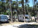 villaggio-parco-delta-po-camper