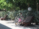 villaggio-vieste-viali